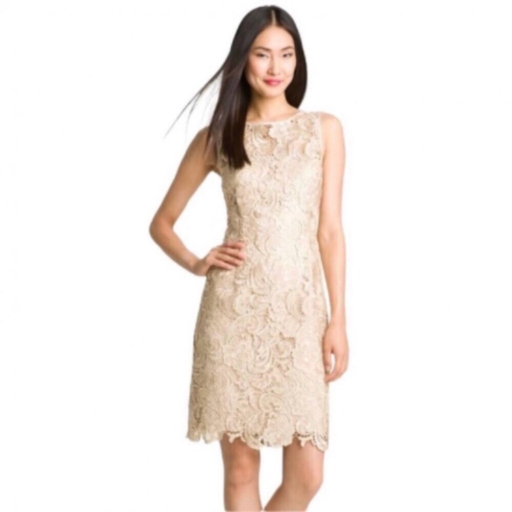 Nude with Lace Overlay Adrianna Papell Dress